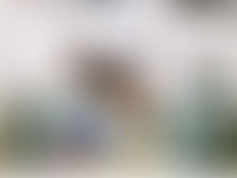 Michael Burnett and Hendrick Wildricks