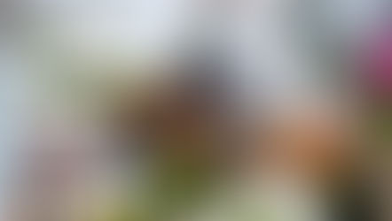 Devon Grand Hunter Champions