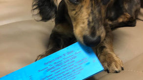 The Perfecta Farm Show Celebrates Another Year of Success