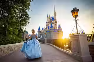 4899_MagicKingdomCastleDisney_2025_2_b0375952-175d-411c-bc1b-5a458cae2fc8.avif