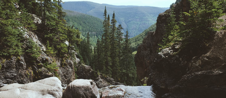 OPINION: Resources for connecting with nature 