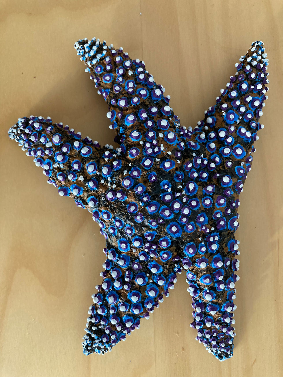 Final result. Species: Pisaster giganteus