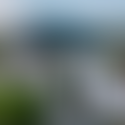 New Home, New Backyard