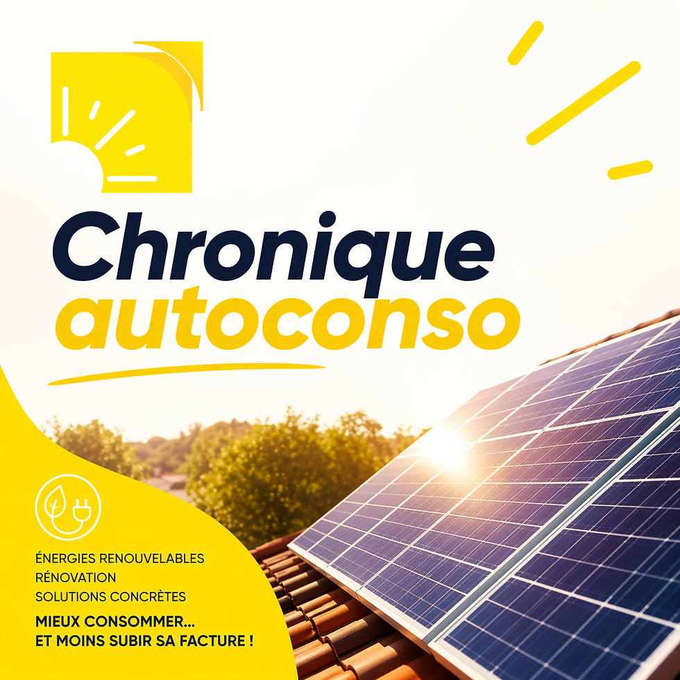 Chronique Auto Conso