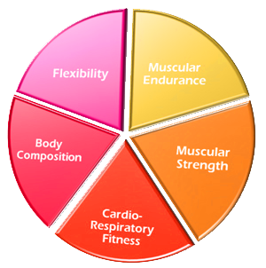 the 5 components of fitness natasha badenhorst personal 5 components of fitness