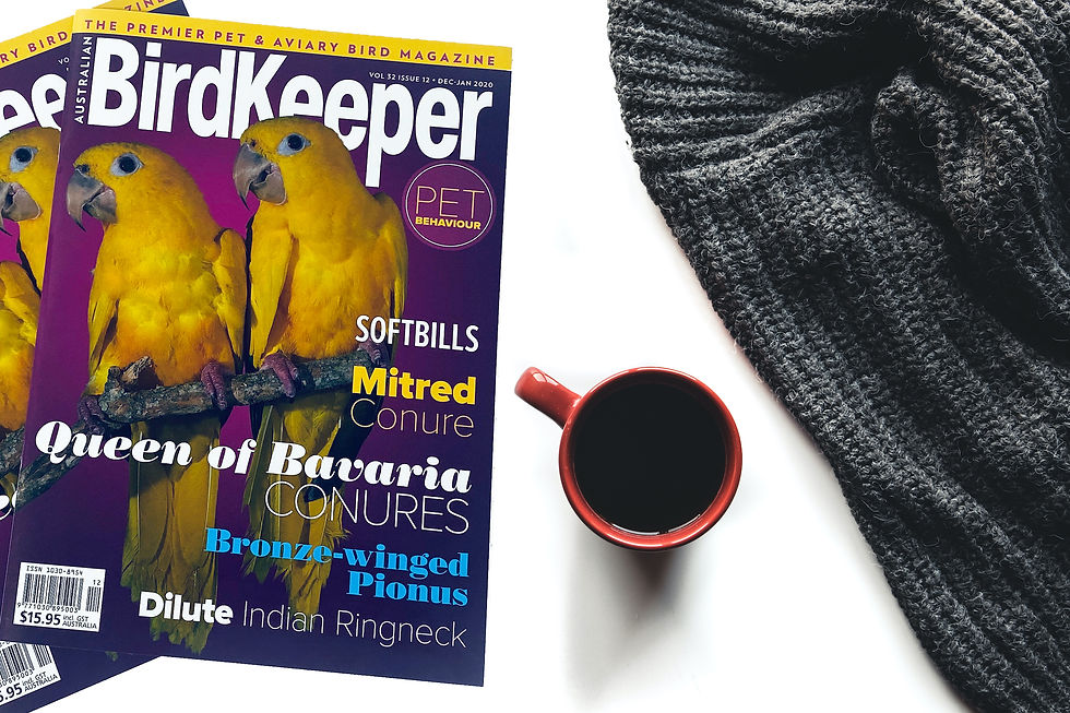 What are the Benefits of Laminating my Print Job?