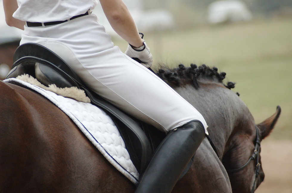 Equestrian Dressage Rider at a ManeHub Event