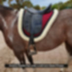 Thumbnail: Acheron Saddle Pad (All Colours)
