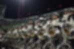 Spartan Tubas in the Stands