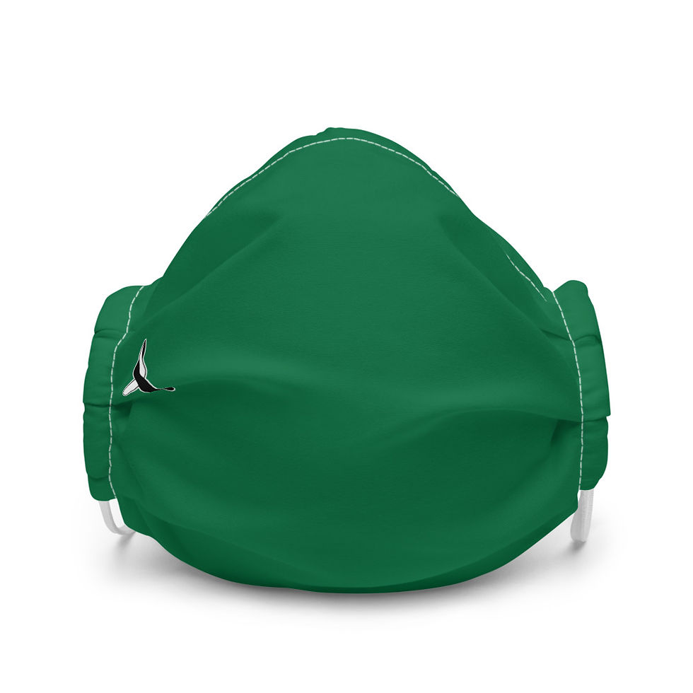 Thumbnail: Premium face mask - Green Basic