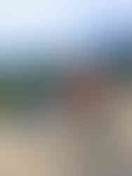 Roller fahren im Norden Vietnams