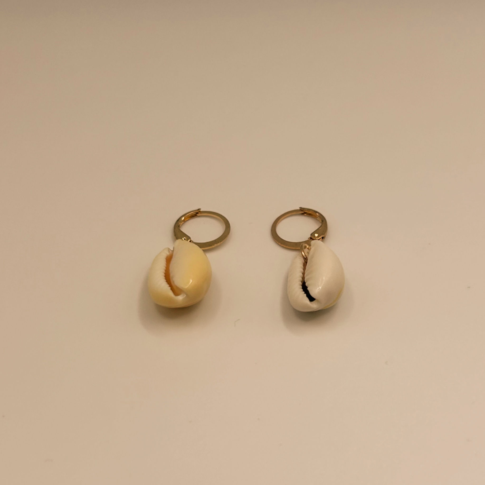 HAND-PICKED SEASHELLS