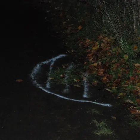 Crossing Lines: Autumn Exhibition 