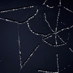 Web of lies (2020)