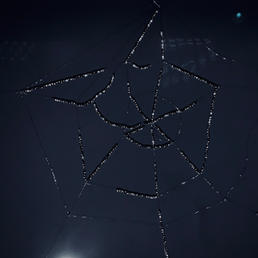 Web of lies, detail