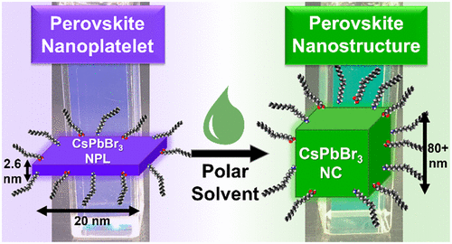 Transformation of Perovskite Nanoplatelet to Large Nanostructure.gif