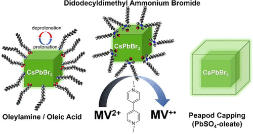 TOC - Surface Chemistry Matters. How Lig