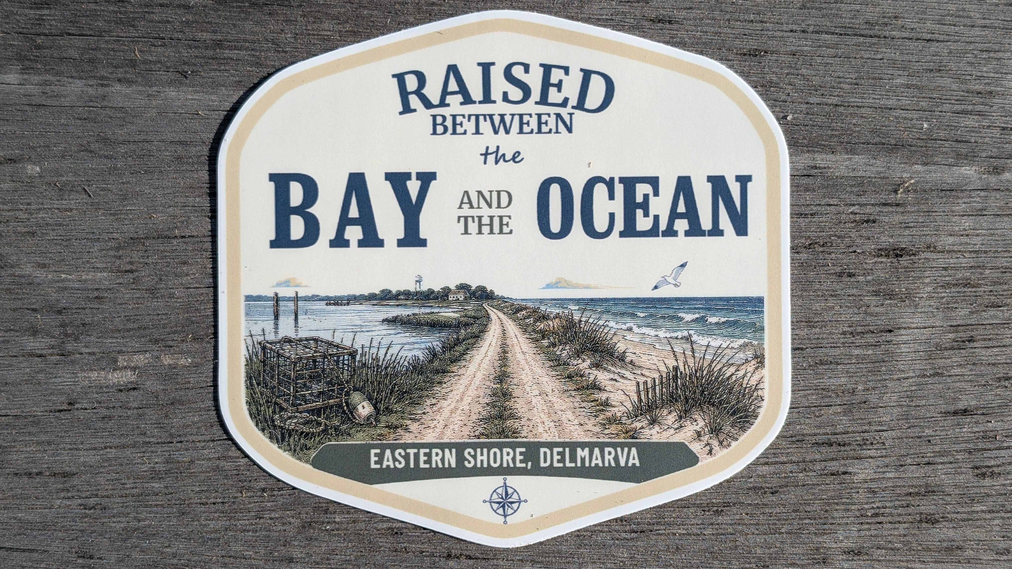 Raised Between the Bay & the Ocean Sticker