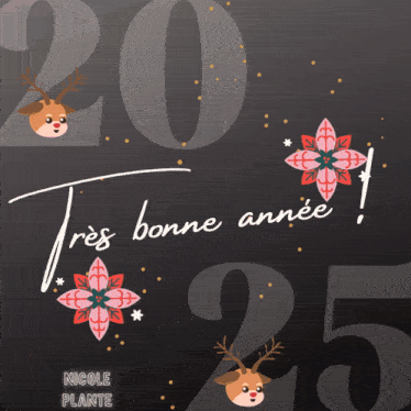 happy-new-year-bonne-année.gif