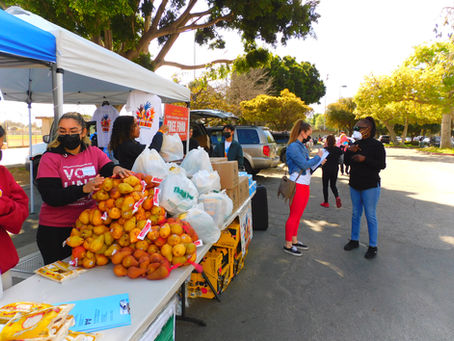 VOLUNTEER WITH US
