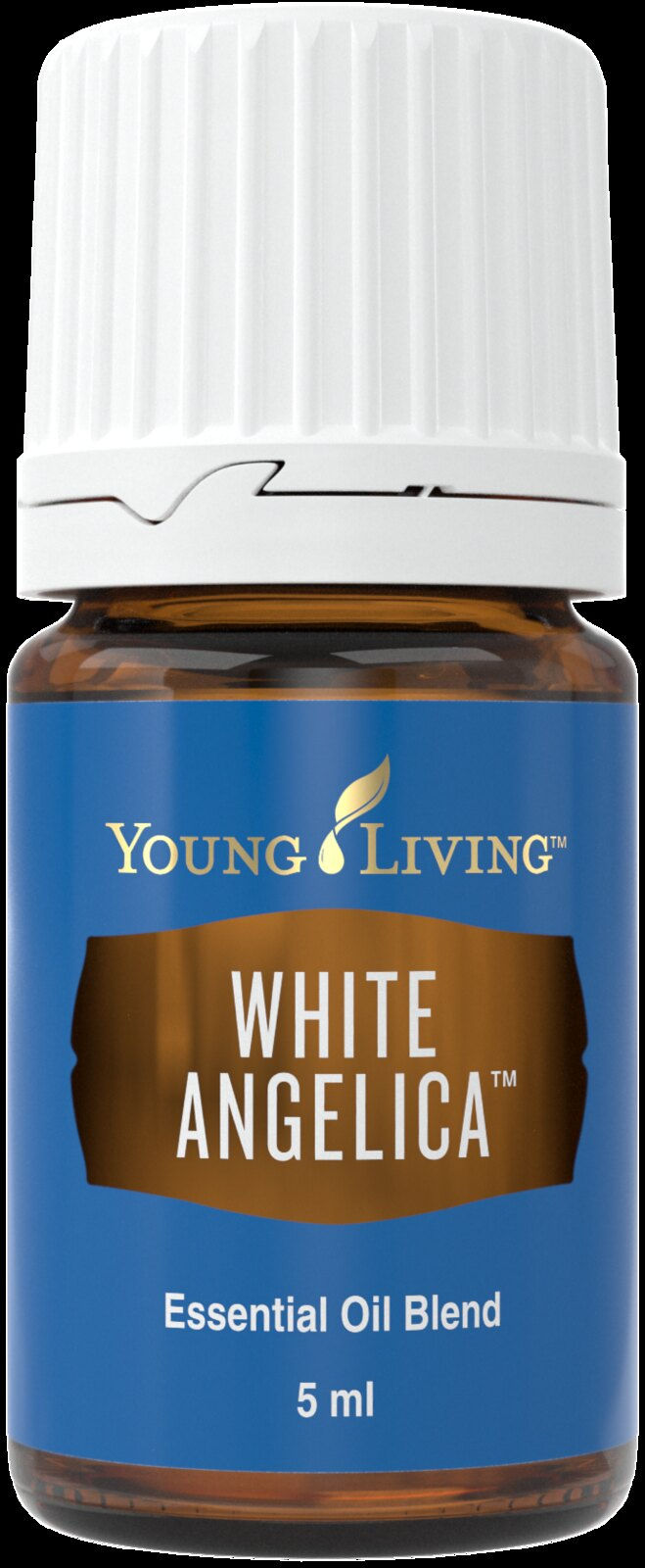 White Angelica
