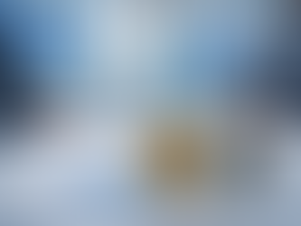 EU bank allows Bitcoin trading after previous ban