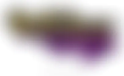 New Year's resolution text