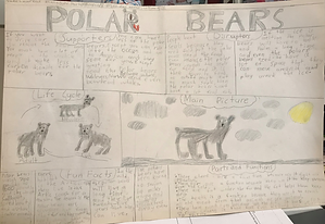 Lawrence polar bear.png