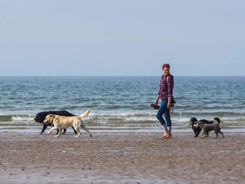 dog behaviourist and trainer