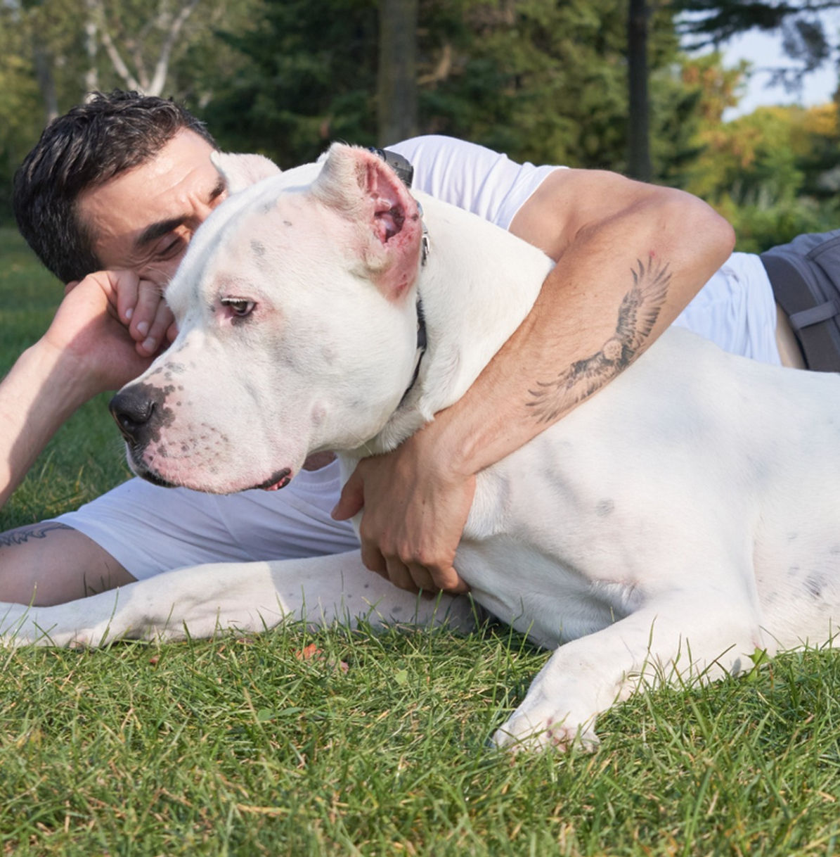 VIP Coaching Package