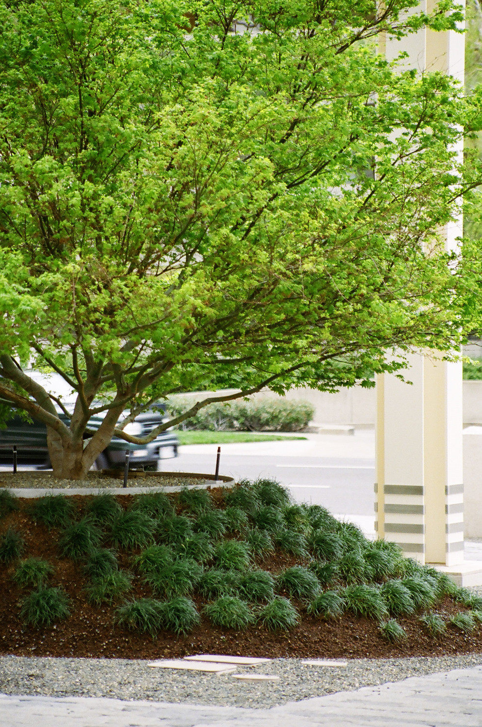 CalPERS 015.JPG