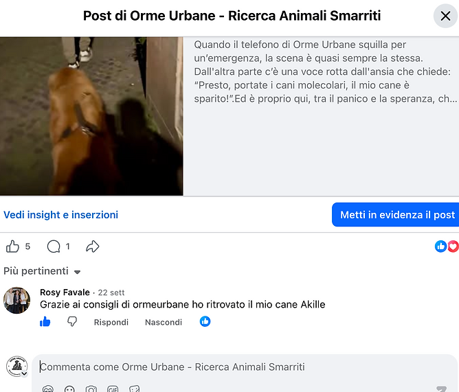recensioni orme urbane.png