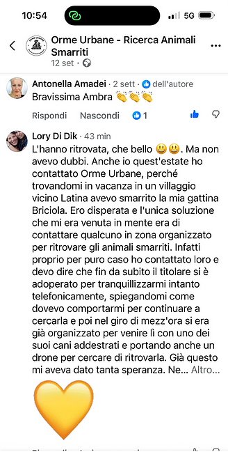 recensione gatto ritrovato Orme Urbane