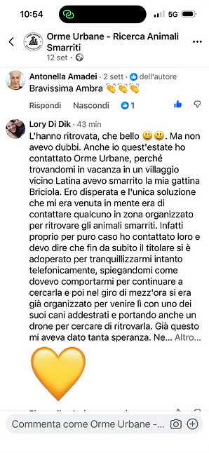 Testimonianza di Loredana sul ritrovamento della gatta Briciola pubblicata sulla pagina Facebook di Orme Urbane