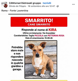 cane ritrovato Orme Urbane.png