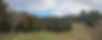 Gisborne Canoe & Tramping Club walk