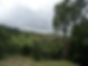 Gisborne Tramping Club walk | Monowai Station