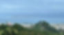 Gisborne Tramping Club walk | Mātokitoki Valley