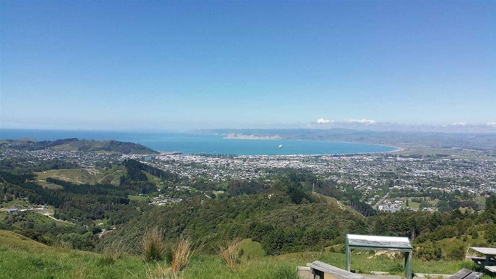 Te Kuri Farm Walkway Trail Run/Walk with the Gisborne Harriers
