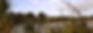 Waikanae Stream Working Bee