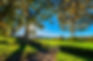 Sponge Bay Trail Run/Walk with the Gisborne Harriers