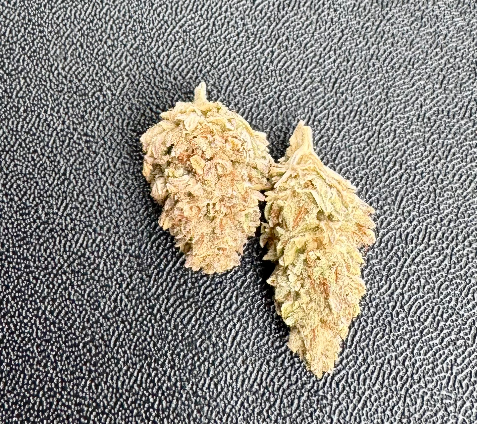 All Gas Greendoor Bud per gram