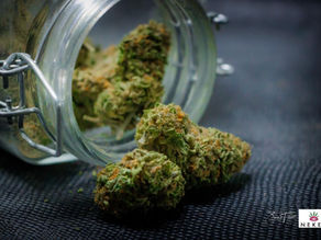 Craft Cannabis Available at NEKED 