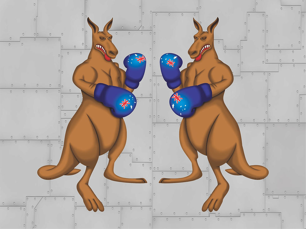 BOXING KANGAROO