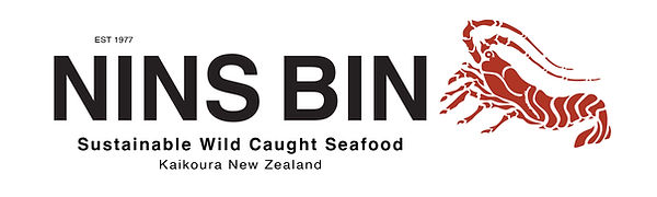 Nins BIn Logo 2.jpg