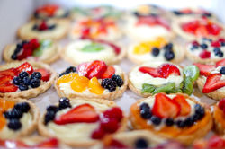 Winterberry Farm Grand Opening