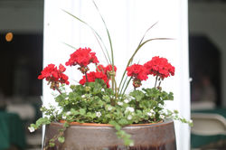 Winterberry Farm Grand Opening