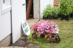 Winterberry Farm Opening