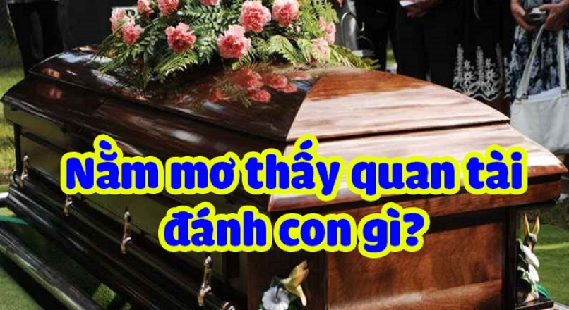 Mơ Thấy cỗ áo Điềm Gì? Giải mã giấc mơ thấy săng trong lô đề content media
