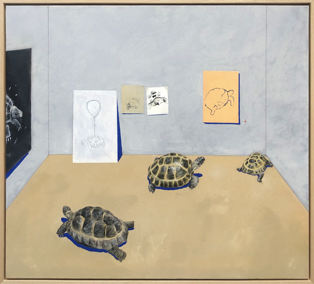 tortoise, joshua daniels, private view, gallery